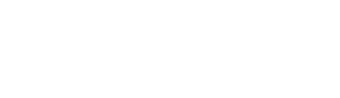 LeadGeeks Inc.